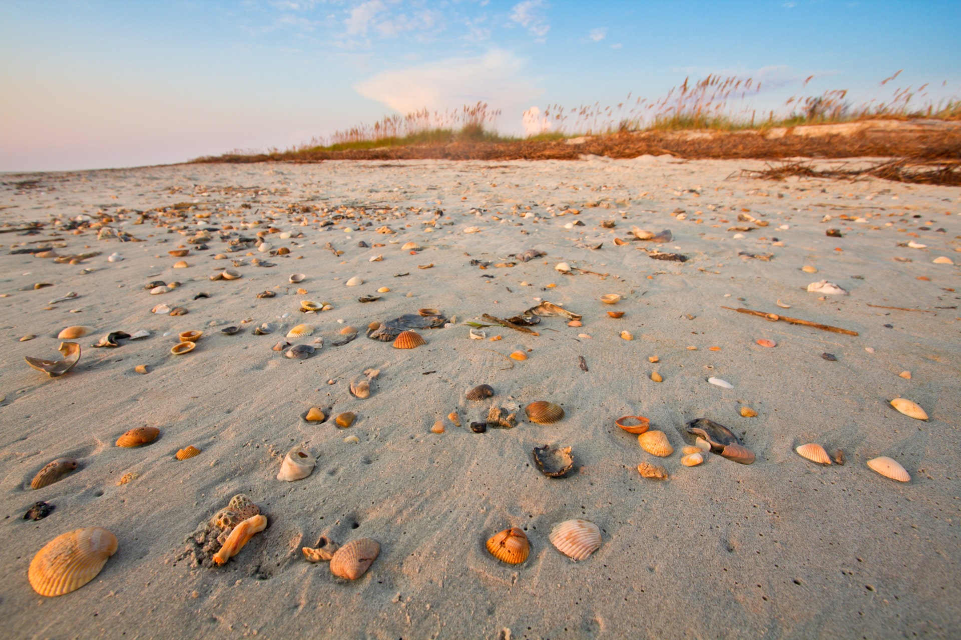 pawleys island banks